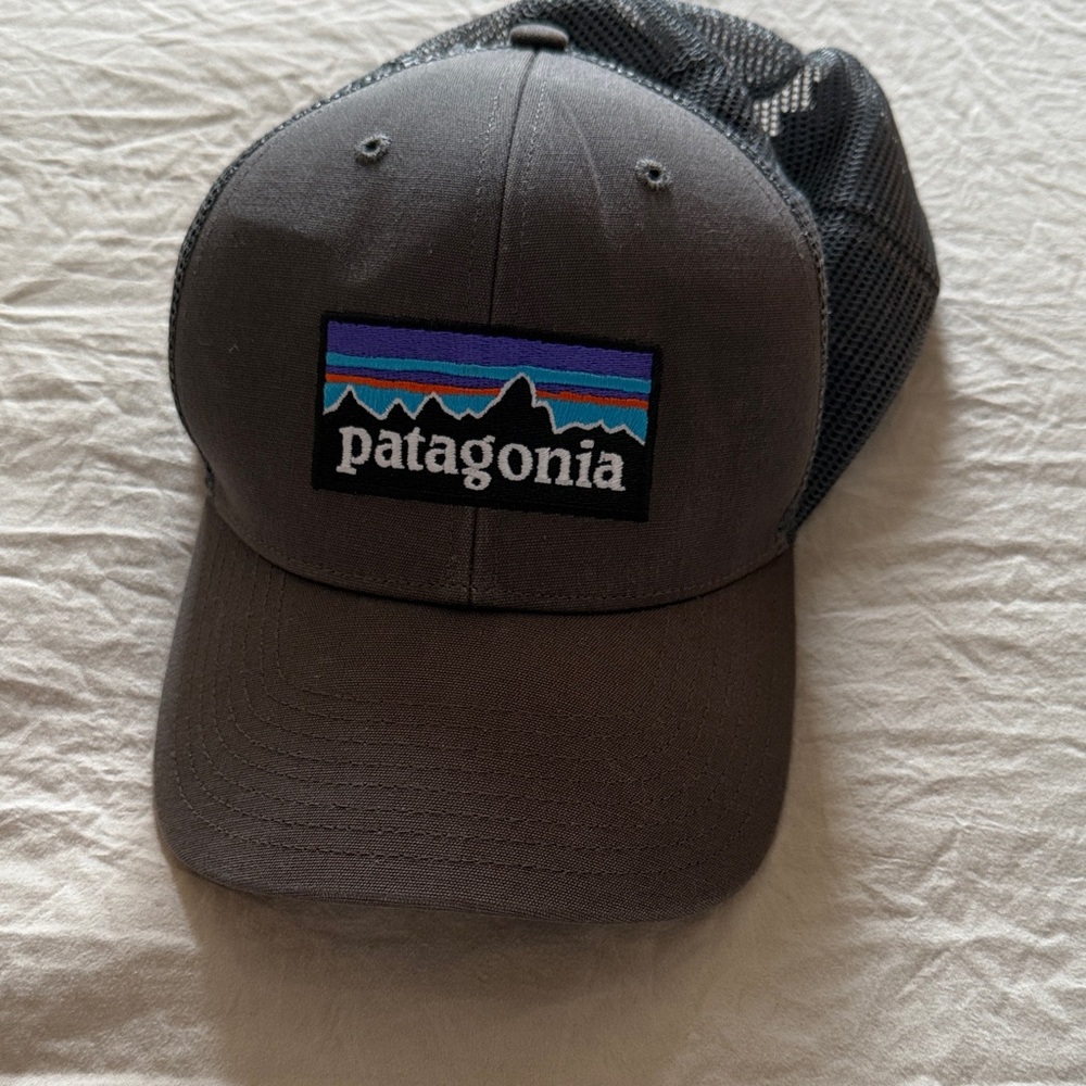 Patagonia mesh cap